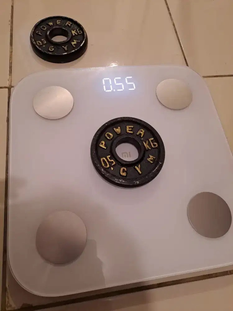 Plate dumbell 0.5 kg