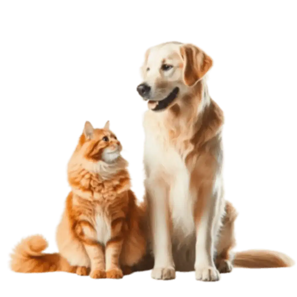 Grooming panggilan terdekat