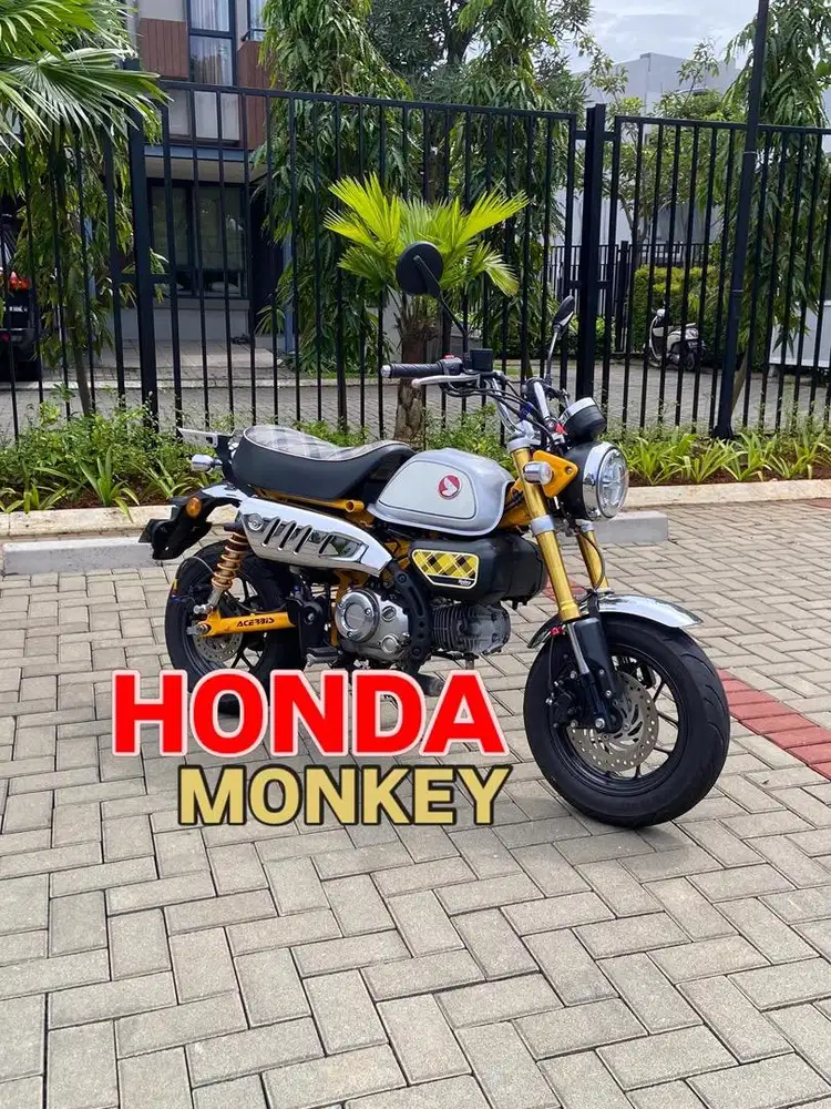 Honda monkey 2023