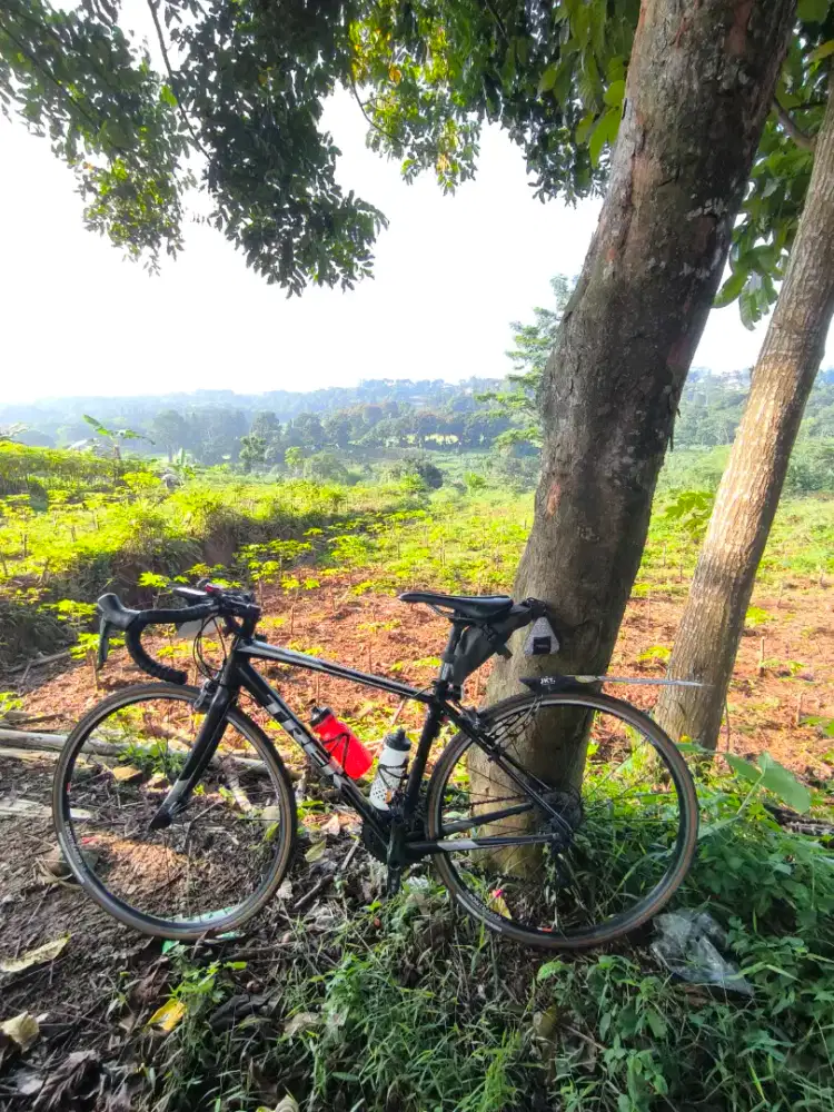 Trek Domane AL2 upgrade tiagra 4703