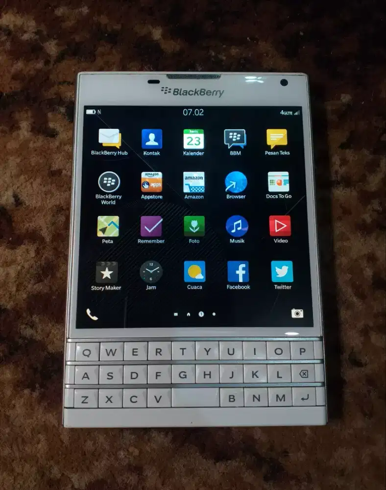 Blackberry pasport
