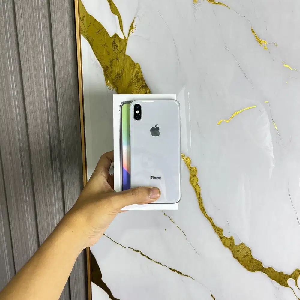 IPHONE X 256GB INTER