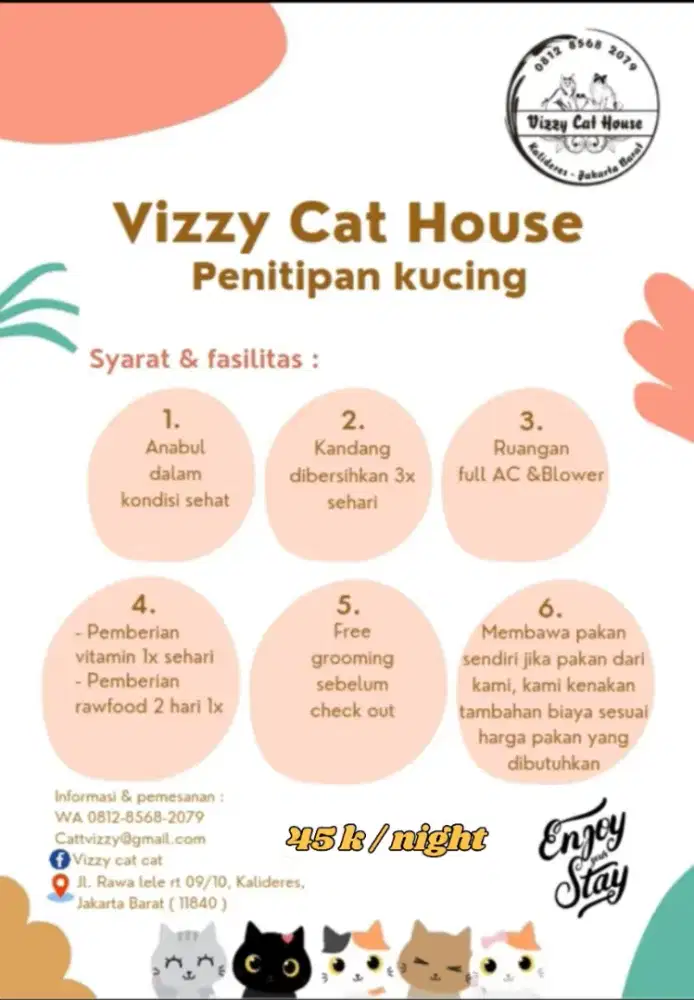 Pet hotel kucing / penitipan kucing