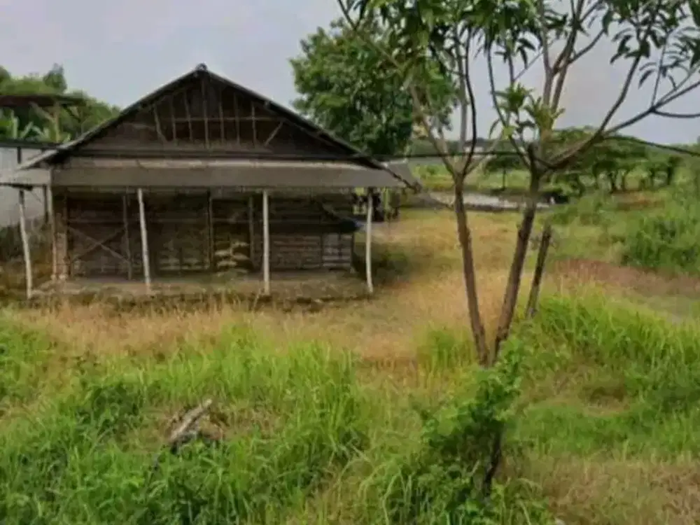 Dijual Murah 800rb/Mtr Tanah Industri Wringin Anom Gresik