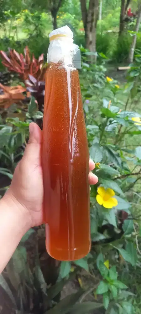 madu asli hasil alam