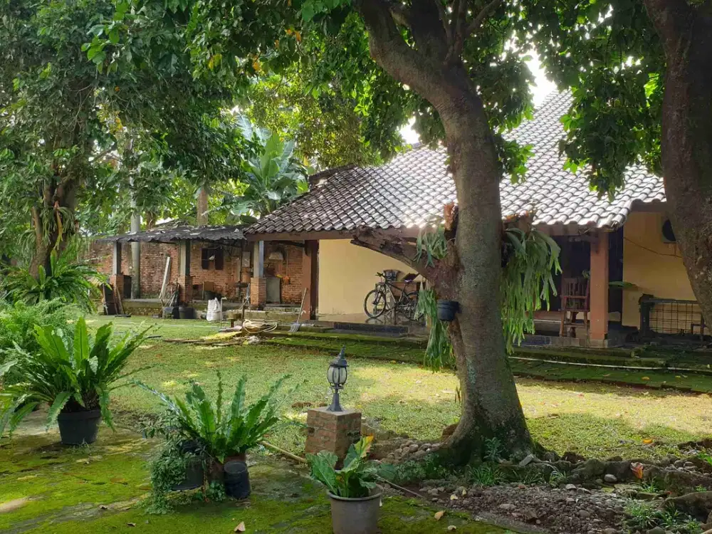 Jual Rumah murah halaman luas hijau dan asri dekat pintu Toll TB Simatupang