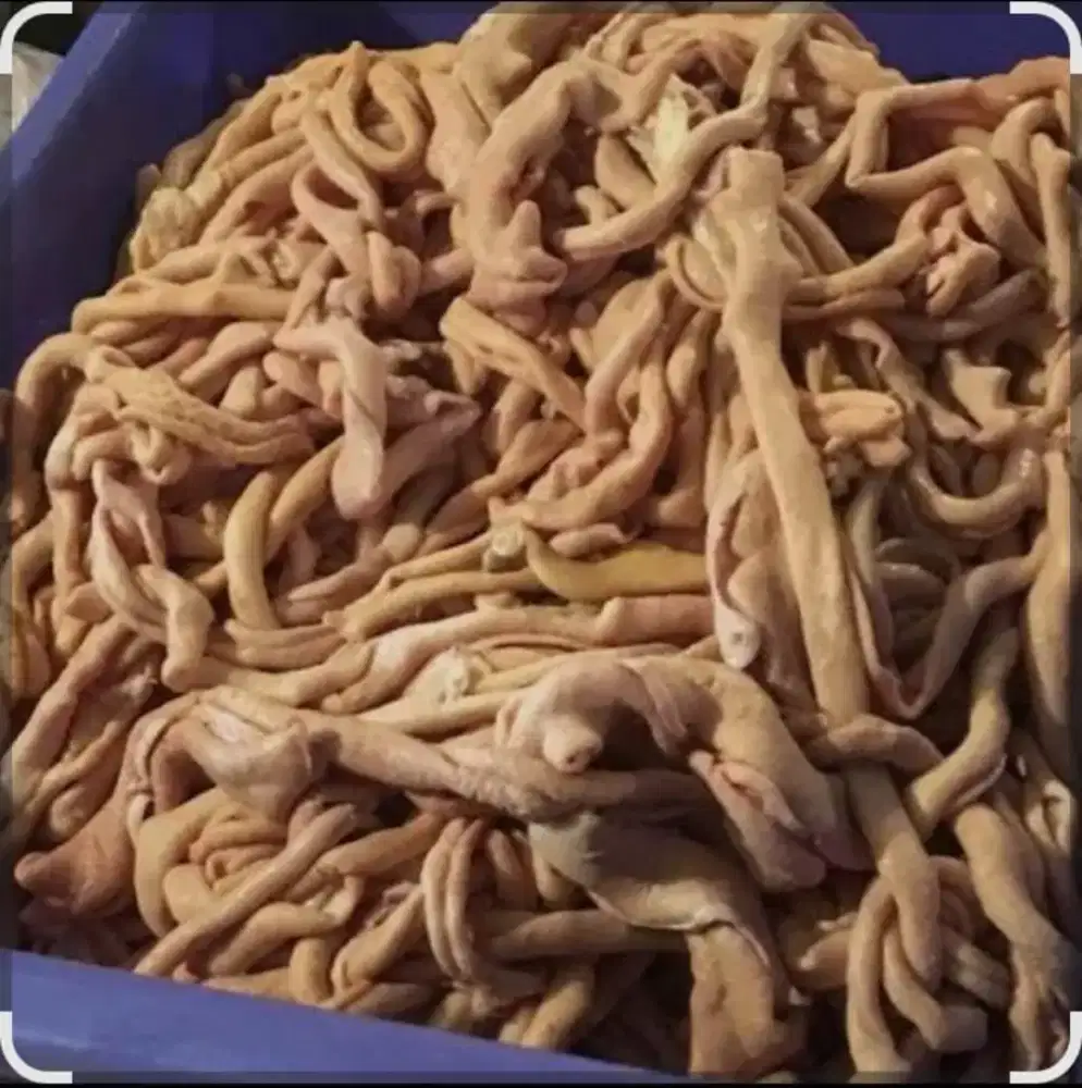 Jual usus ayam potong namun blum di bersihkan karena tidak bisa