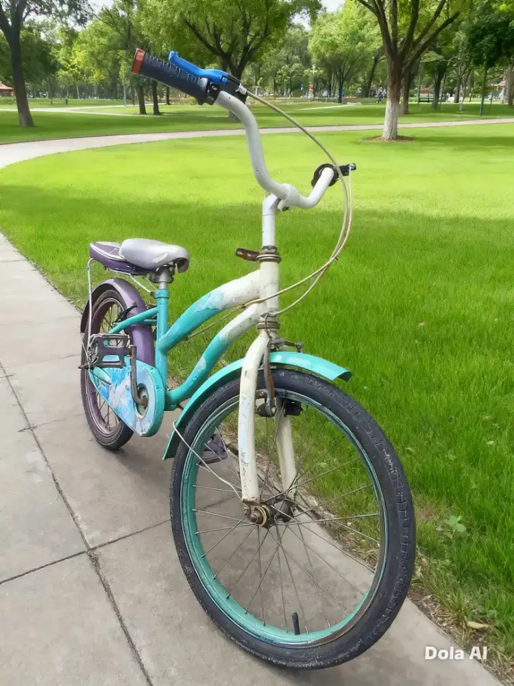 Sepeda anak Family ring 20 mantap