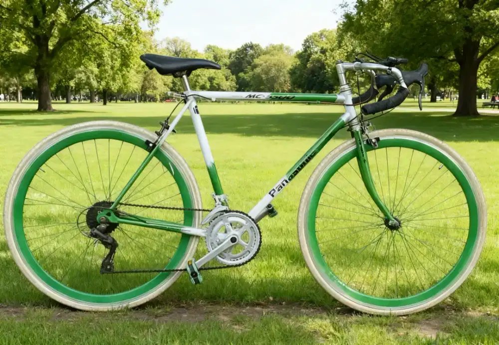 Roadbike Panasonic MC-5500 uk 28