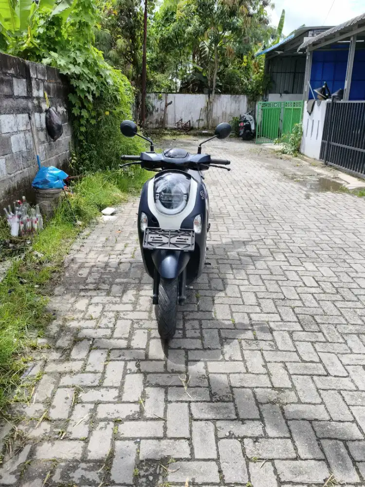 Honda Scoopy Fashion Blue 2025 - Like New