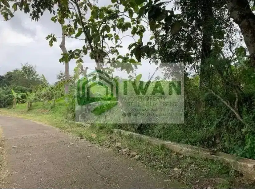 Tanah Strategis Hadap Jalan Poros Desa Dengan View Sawah