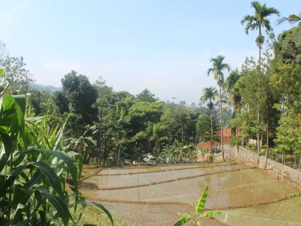 tanah potensial di Pasir impun Bandung