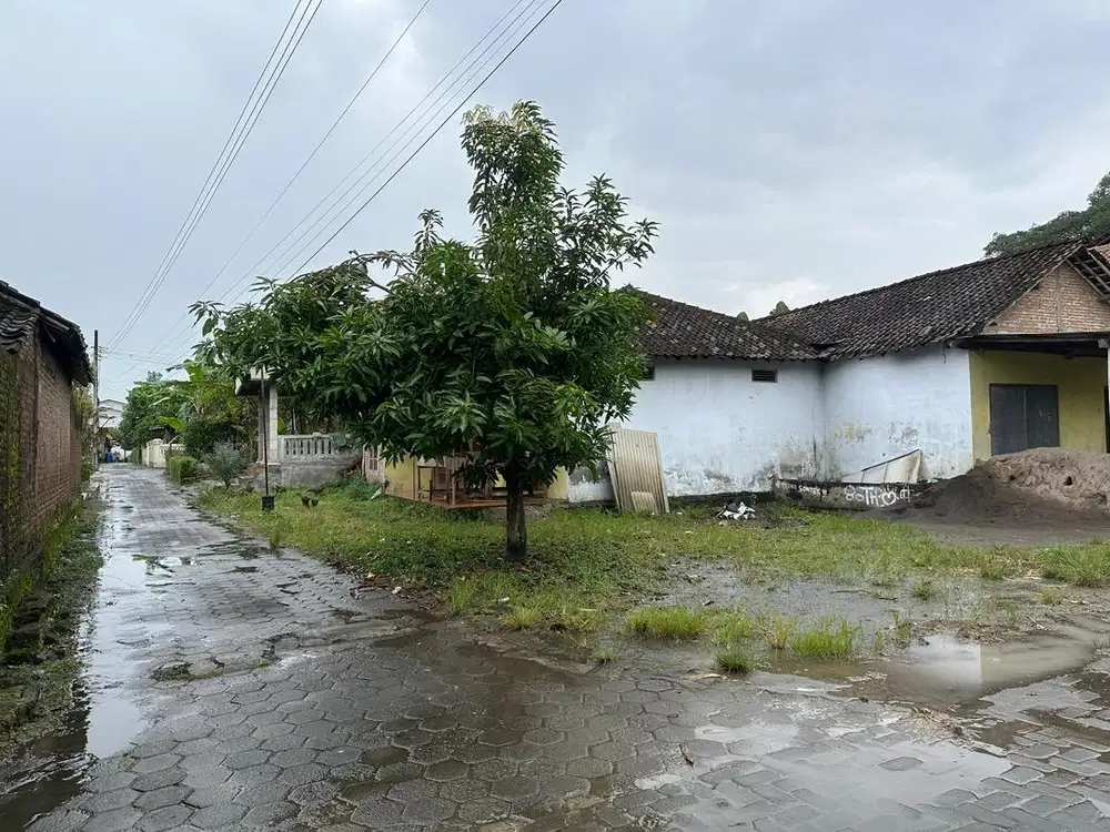 DIJUAL TANAH BONUS RUMAH DELANGGU