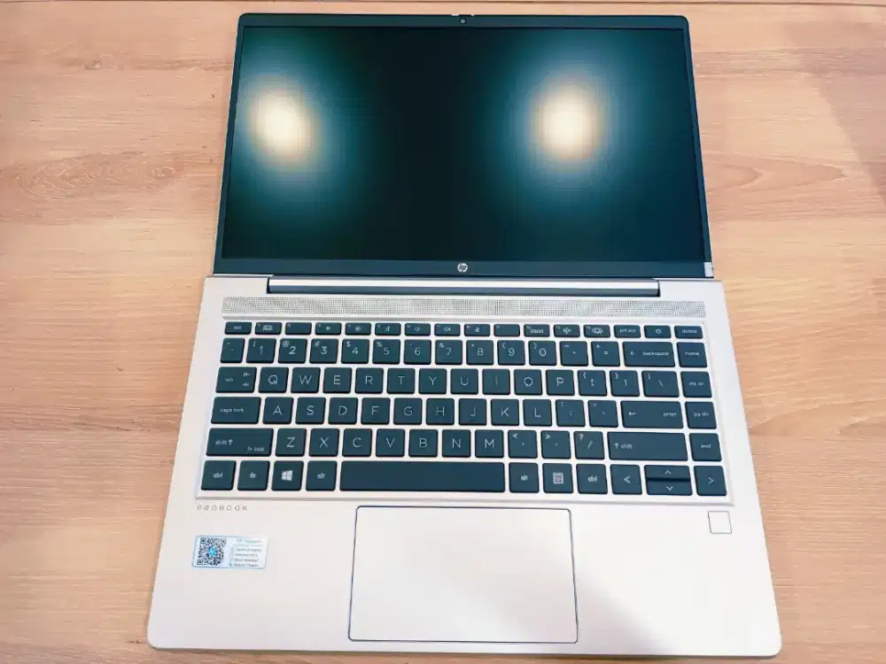 HP PROBOOK 445 G8 RYZEN 5