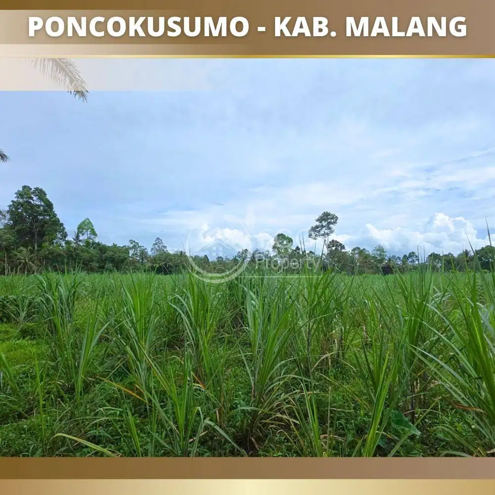 Desa Wonorejo Poncokusumo Kabupaten Malang