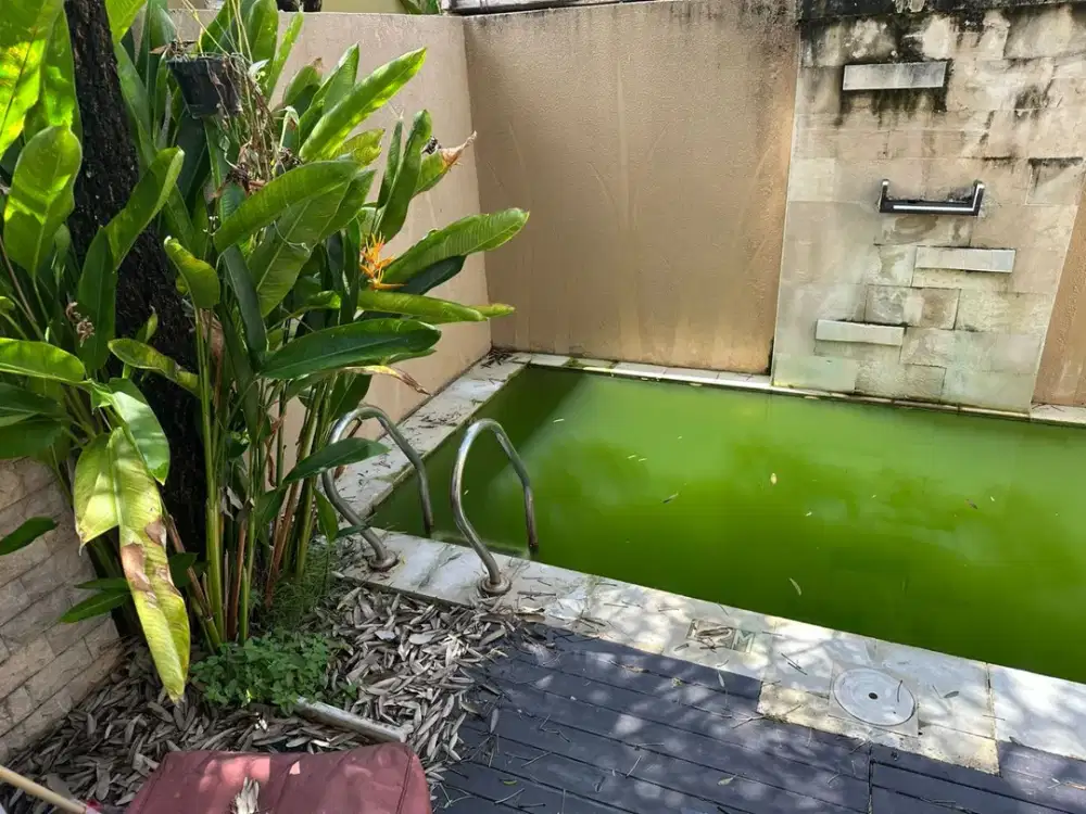 DIJUAL 1 BIDANG TANAH DENGAN TOTAL LUAS 100 M2 BERIKUT BANGUNAN - BADUNG