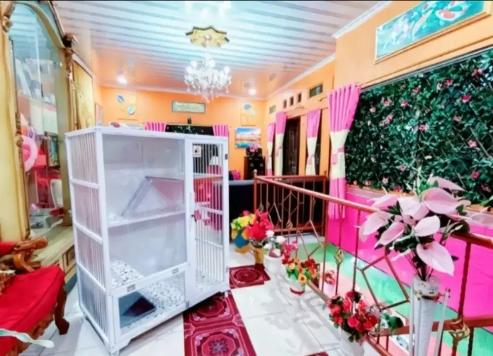 Kandang Kucing Alumunium ACP