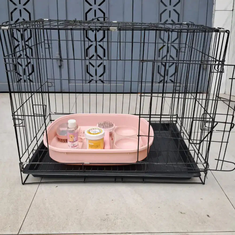 kandang kucing 60x40 + isinya