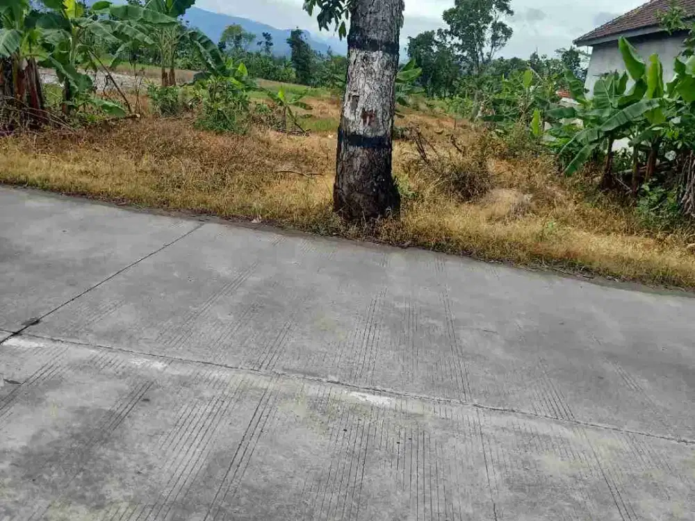 tanah pusat ekonomi Kesesi jalan raya