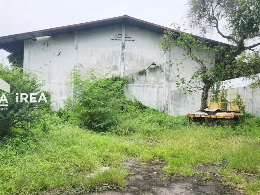 GUDANG DIJUAL DI PALUR DEKAT TERMINAL PALUR