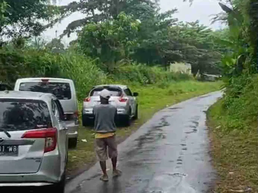 kebun durian alpukat dan petay murah
