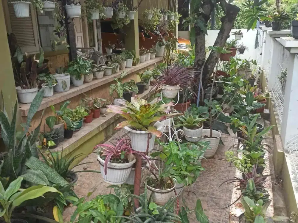 Jual Rumah Kemang Pratama 1 Full Furnished Dekat Tempat Ibadah, Sekolah, Perbelanjaan, Rumah Sakit & Tol