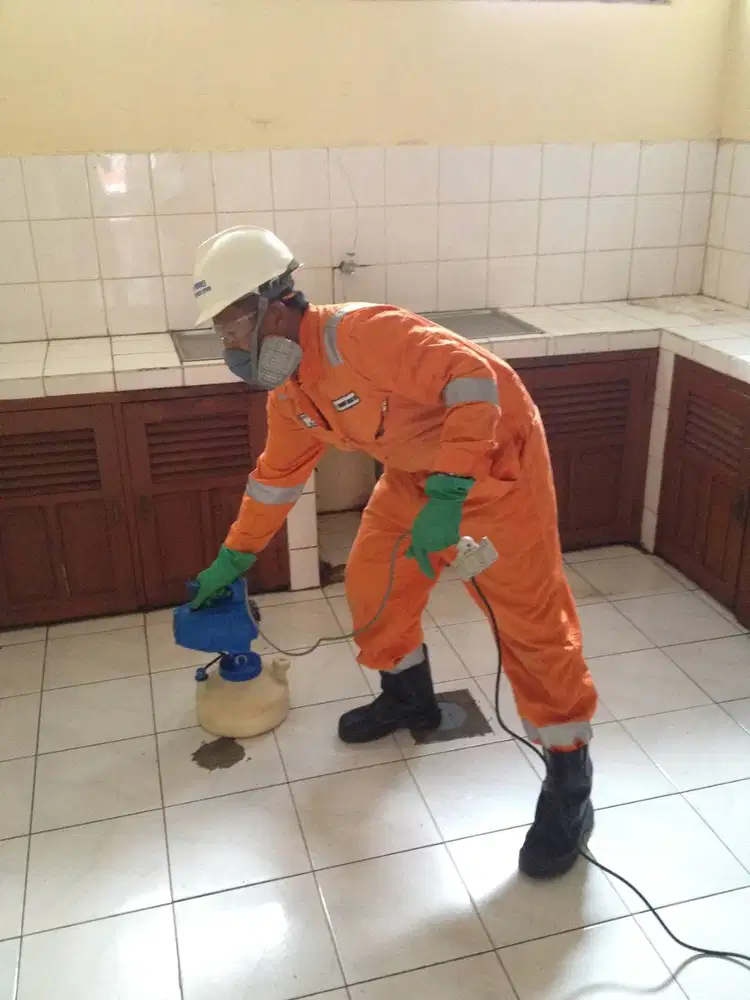 Pengendalian Hama Pest Control Balikpapan
