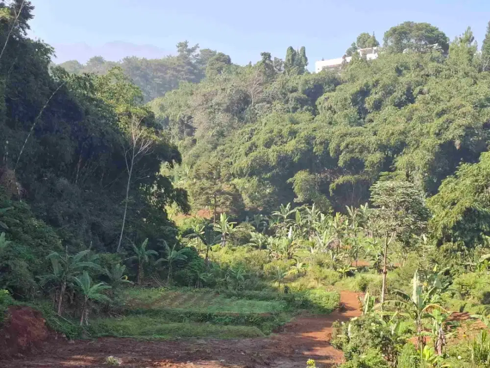 Jual Tanah SHM Luas 535m2 di Megamendung Puncak Bogor