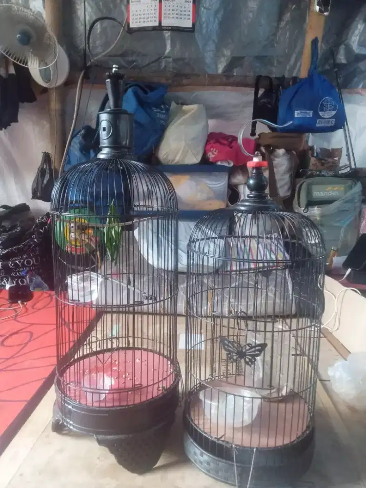 Kandang lb masih bagus