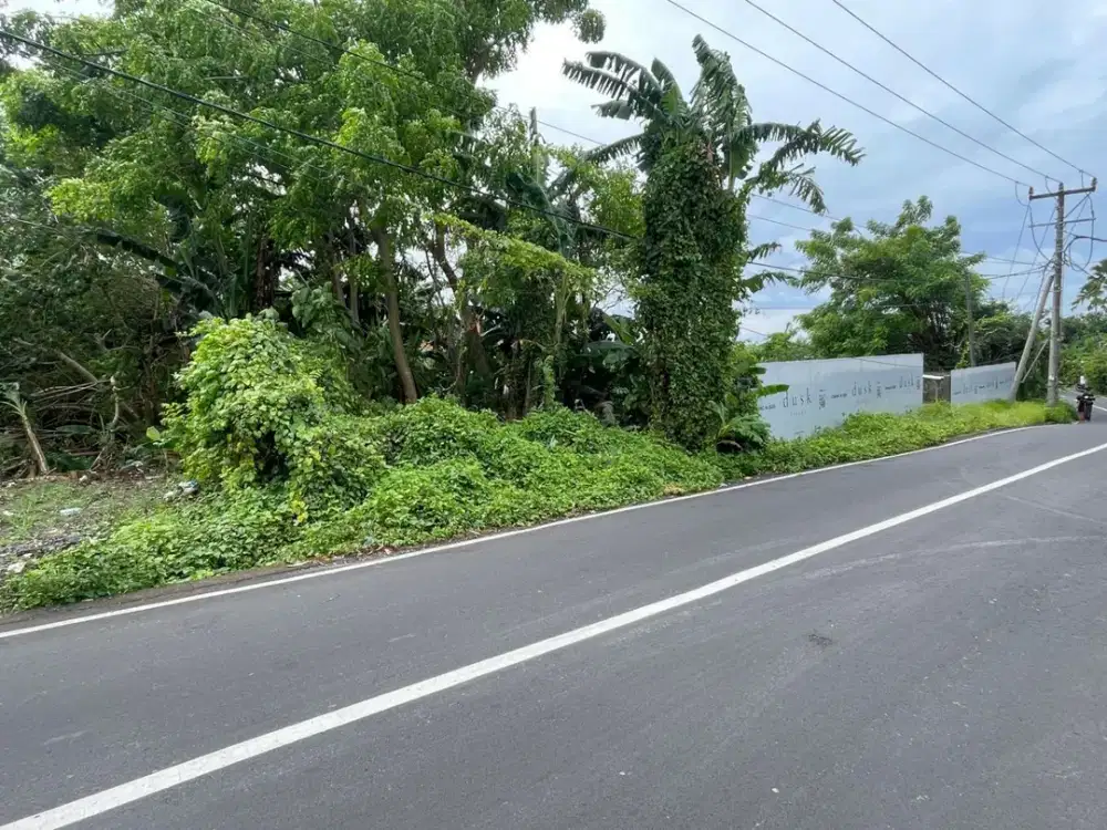 Jual Tanah Strategis PariwisataDi Jalan Veteran Tumbak Bayuh Canggu Kuta Utara Badung Bali.  Bonus Design Villa.