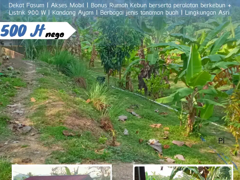 Dijual Perkebunan Buah Aktif Di Dusun Manggal, Desa Banjarharjo, Kebakkramat, KRA