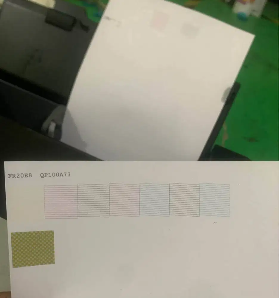 Epson Stylus Photo R2000 DX5