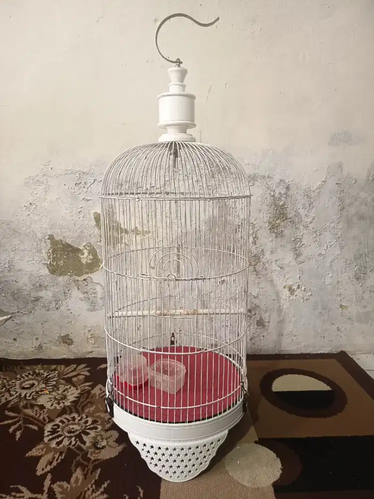 Sangkar/Kurung Kapsul Lovebird Putih