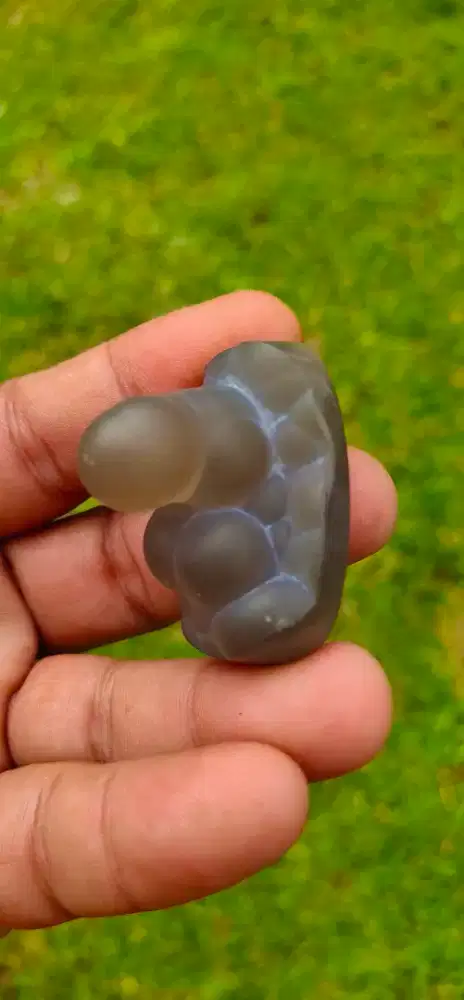 Liontin Batu Anggur Kura Bentuk Mr.P Calon Juara 1 Kontes Perbatuan