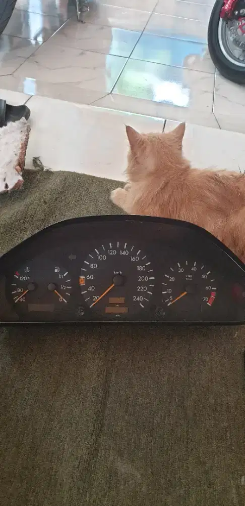 Spedo meter Mercy w202