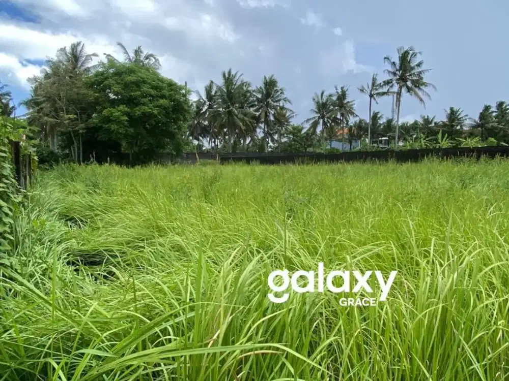 DIJUAL TANAH BAGUS DAN STRATEGIS 20 ARE DI UBUD GIANYAR