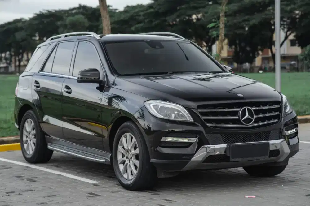 Mercy ML250D AT 2015 Pajak panjang