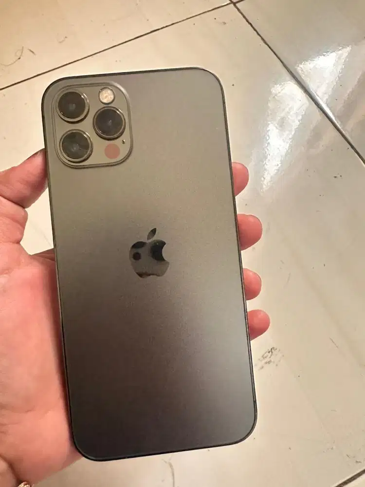 12 pro 256 alloprator