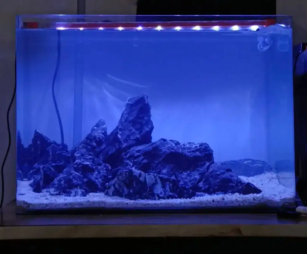 Akuarium Bending 50x30x35