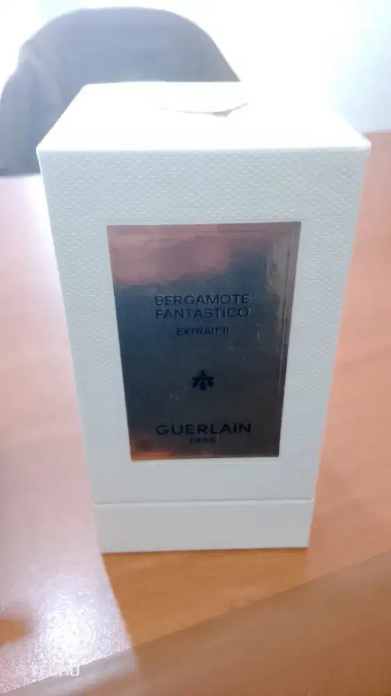 BERGAMOTE FANTASTICO EXTRAIT 11