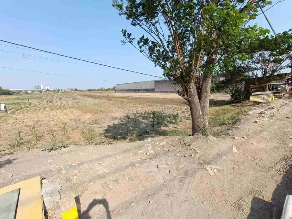 Lahan Industri Wringinanom Gresik 18.000 m² - 20 Menit dari Tol Driyorejo