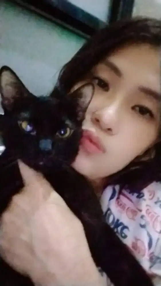 cari kerja infal lebaran