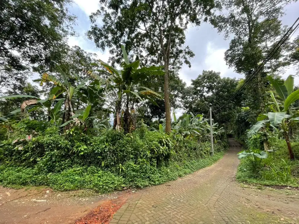 Dijual Tanah Milik Pribadi