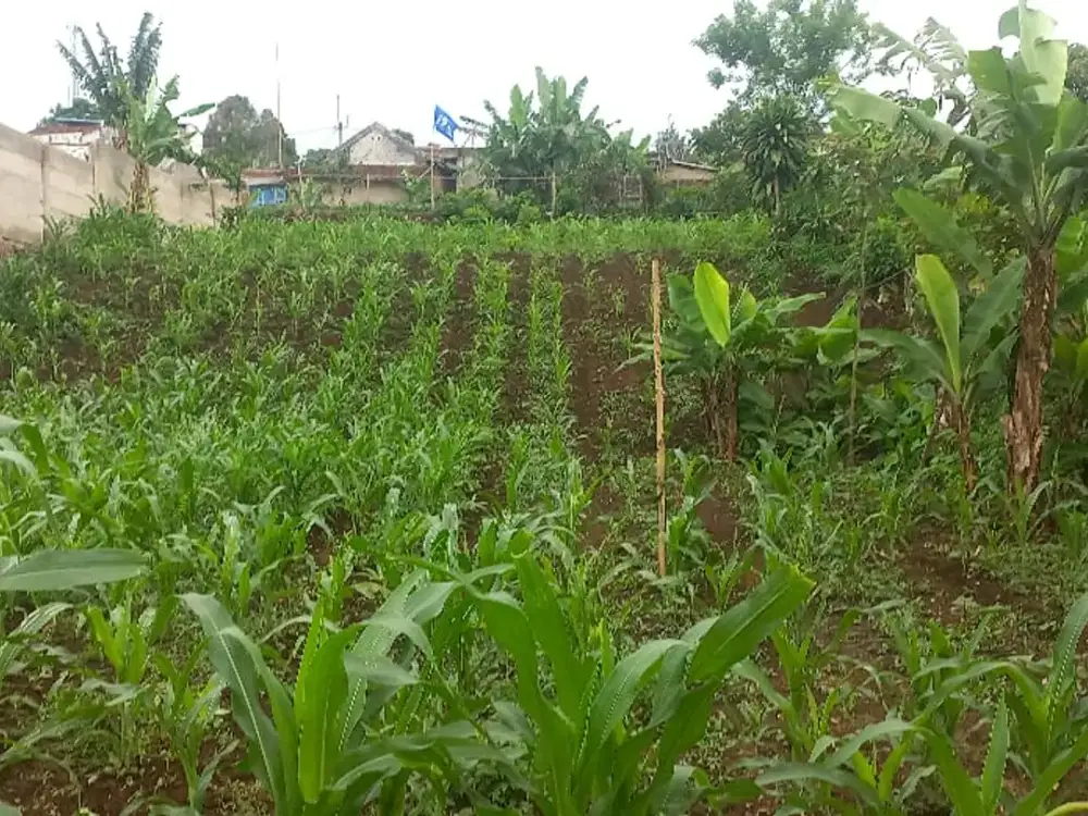 Dijual Tanah Kavling di Ngamprah, dekat Kantor DPRD Bandung Barat