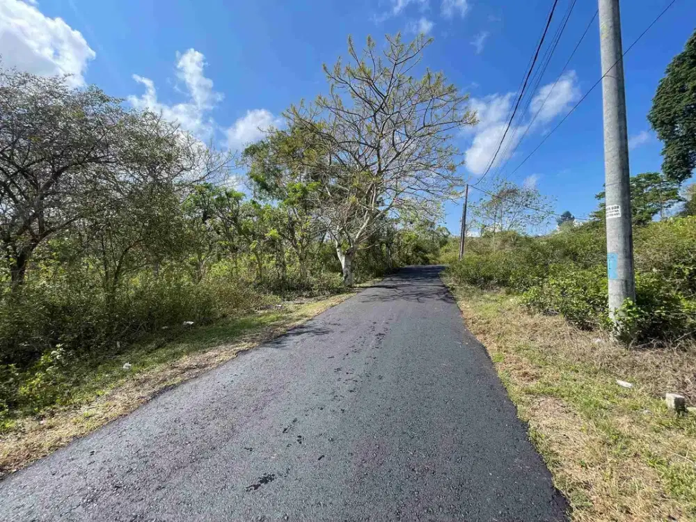 tanah kavling bingin Jimbaran bali