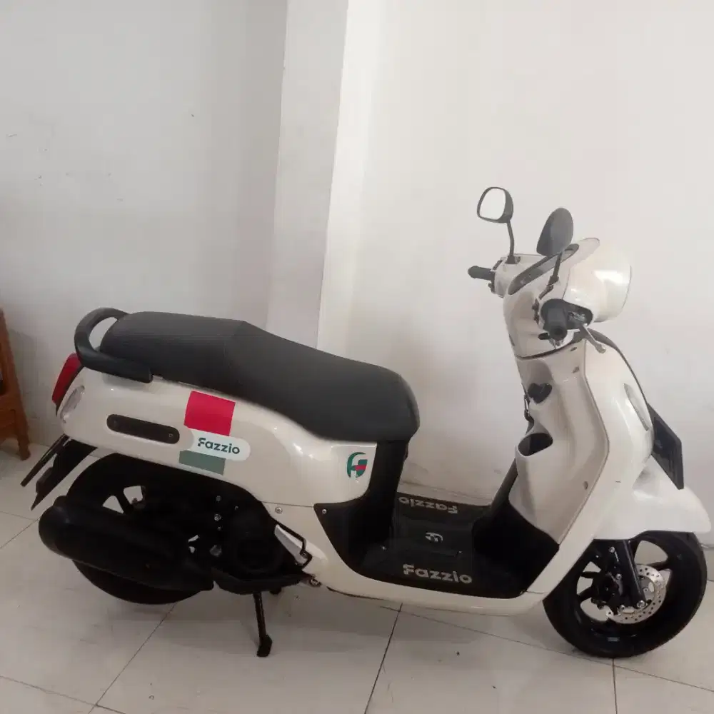 Fazzio 2023 istimewa