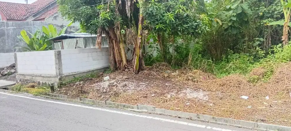 Jual Cepat Tanah Pribadi SHM 400m2 di Tanjung Raya - Nego Halus