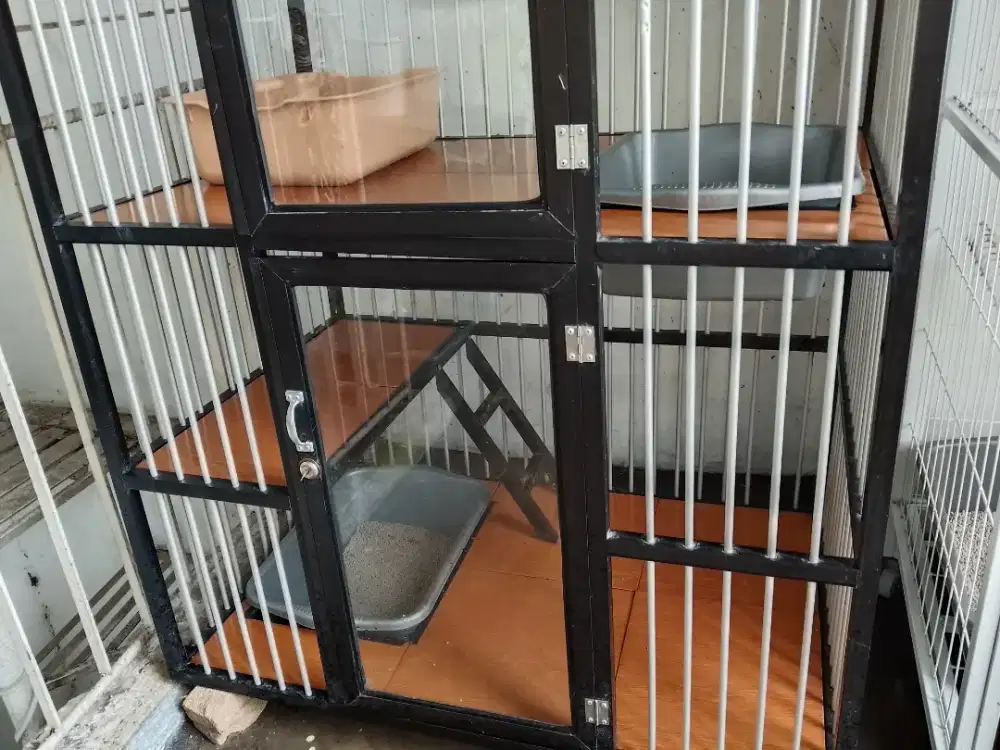 Cari karyawan buat jaga petshop