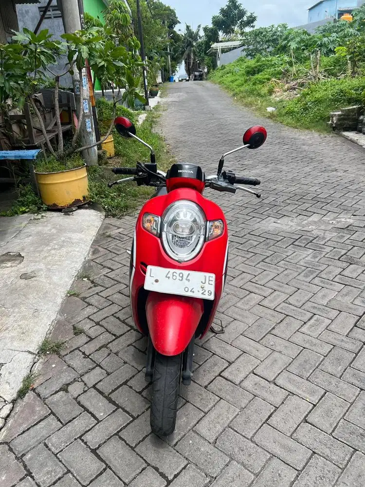 Scoopy Matic 2019