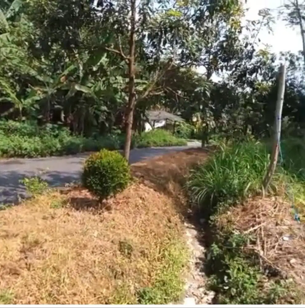Tanah kebun nempel Jalan utama limbangan boja